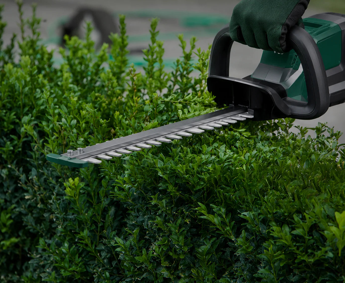 Hedge Trimmers